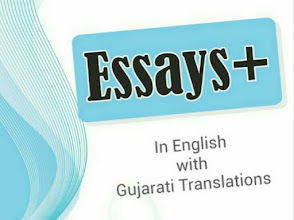 Felix English Classes — photo 2